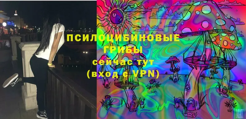 Псилоцибиновые грибы Magic Shrooms  Завитинск 